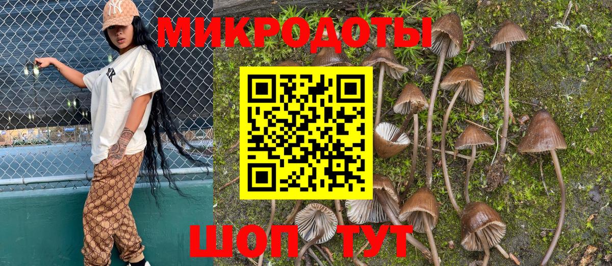 Псилоцибиновые грибы Cubensis Котельники