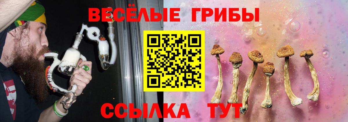 Котельники  купить наркотики сайты  Галлюциногенные грибы Psilocybe  Вход с VPN  Галлюциногенные грибы Psilocybe 